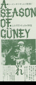 guney6.jpg